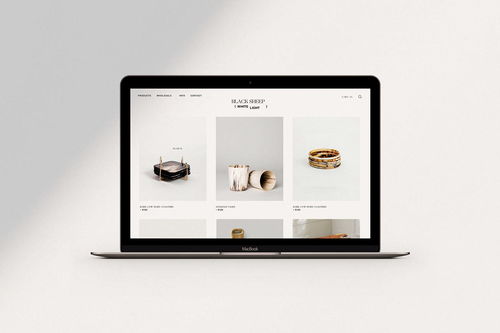 融合科技與自然的品牌美學 平面設計在室內設計產(chǎn)品品牌形象與網(wǎng)絡技術開發(fā)中的創(chuàng)新實踐